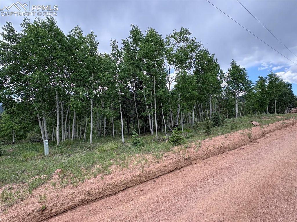 532 May Queen Drive, Cripple Creek, CO 80813 — photo 5