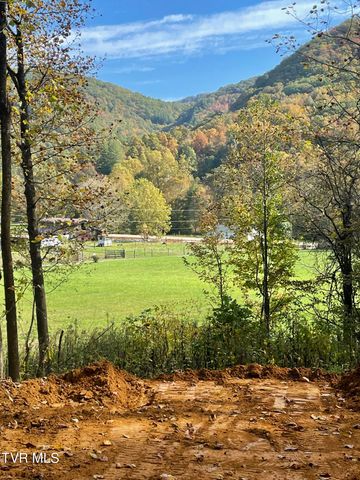 724 Dry Creek Road, Jonesborough, TN 37659
