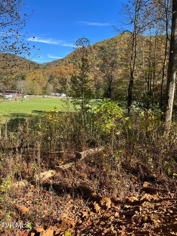 724 Dry Creek Road, Jonesborough, TN 37659