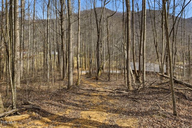 724 Dry Creek Road, Jonesborough, TN 37659