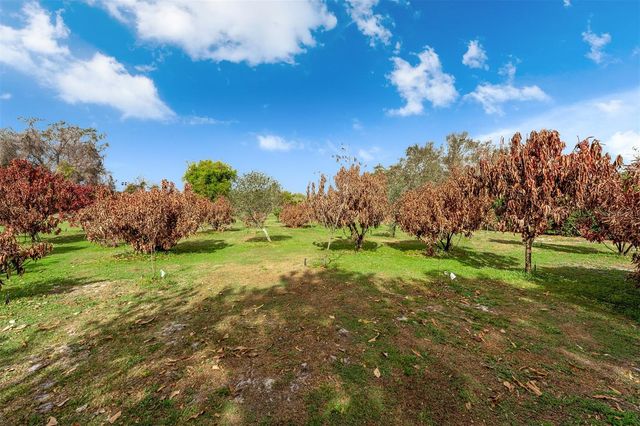 8704 BENOIT AVENUE, Orlando, FL 32836