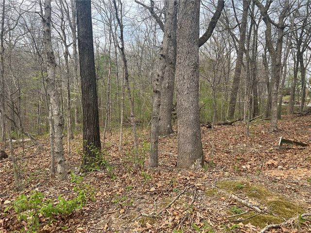 Cunningham Lane, Bella Vista, AR 72715