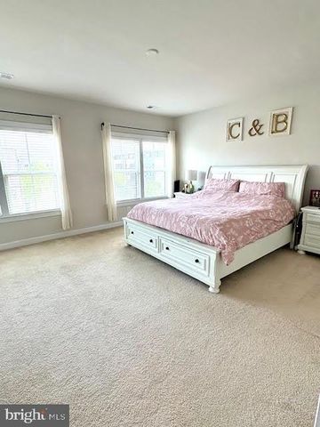 22341 TRAILVIEW CROSSING TER, Ashburn, VA 20148
