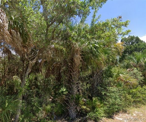 11561 W Dixie Shores Drive, Crystal River, FL 34429