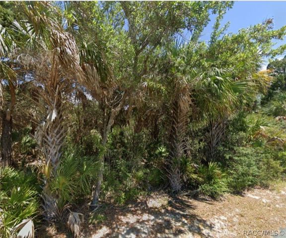 11561 W Dixie Shores Drive, Crystal River, FL 34429