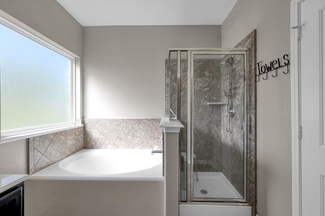 14232 Brushwood Drive, Willis, TX 77318