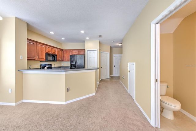 20424 NEEDLETREE DRIVE, Tampa, FL 33647