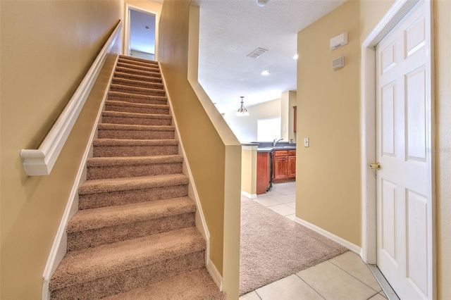 20424 NEEDLETREE DRIVE, Tampa, FL 33647