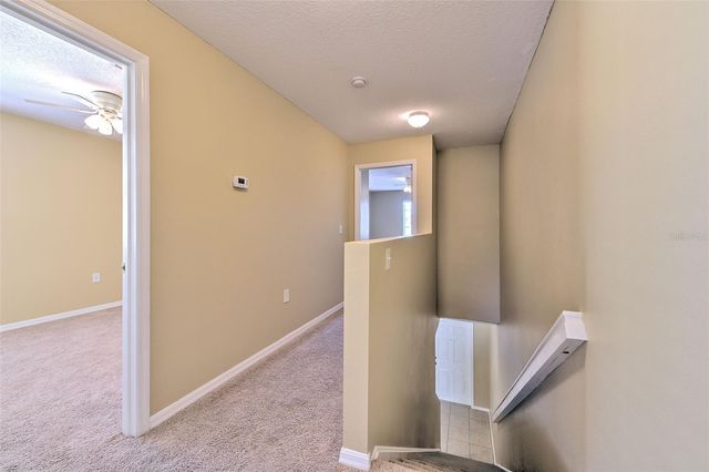 20424 NEEDLETREE DRIVE, Tampa, FL 33647