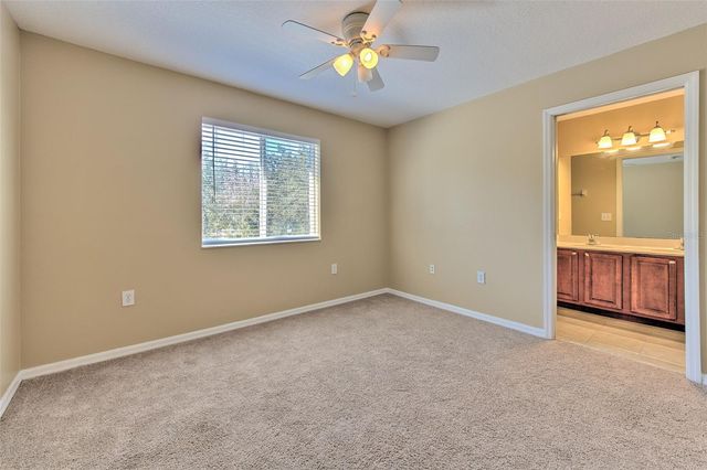 20424 NEEDLETREE DRIVE, Tampa, FL 33647