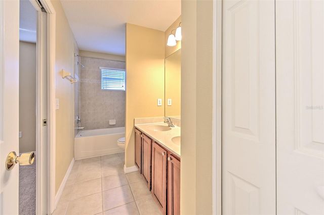 20424 NEEDLETREE DRIVE, Tampa, FL 33647