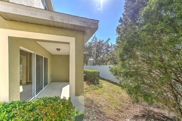 20424 NEEDLETREE DRIVE, Tampa, FL 33647