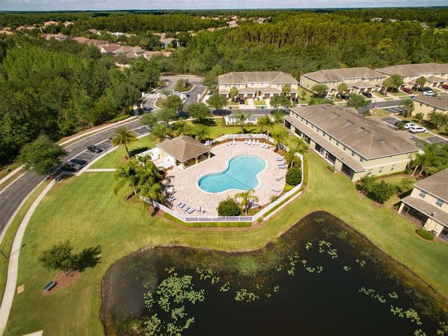 20424 NEEDLETREE DRIVE, Tampa, FL 33647