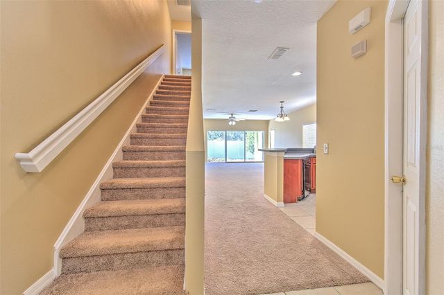 20424 NEEDLETREE DRIVE, Tampa, FL 33647