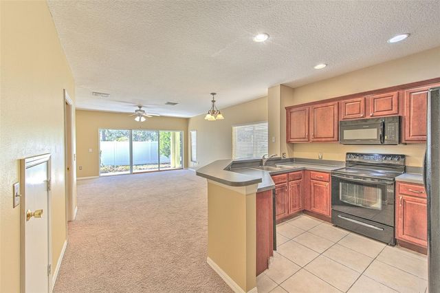 20424 NEEDLETREE DRIVE, Tampa, FL 33647