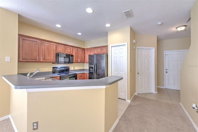 20424 NEEDLETREE DRIVE, Tampa, FL 33647