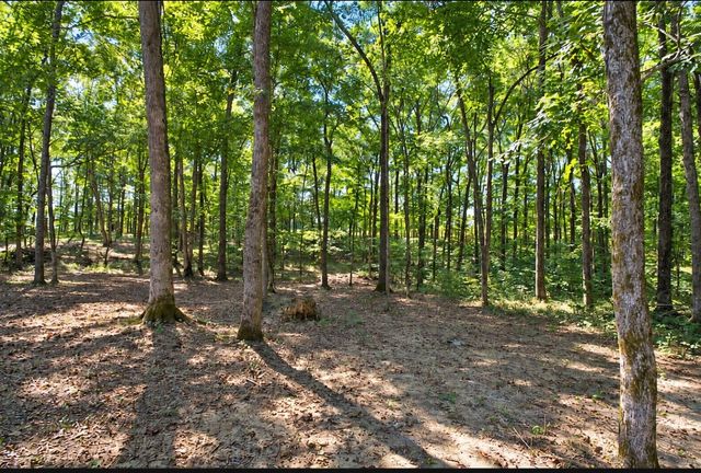 1220 Breeden Rd, Charlotte, TN 37036