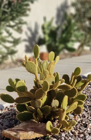 3288 W 2570 S, Hurricane, UT 84737