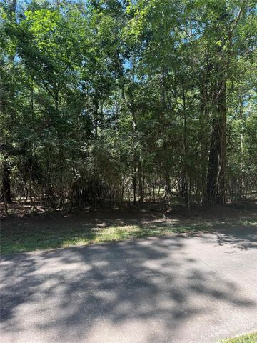 N Fm 350 Pebble Creek, Livingston, TX 77351