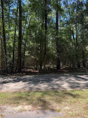 N Fm 350 Pebble Creek, Livingston, TX 77351