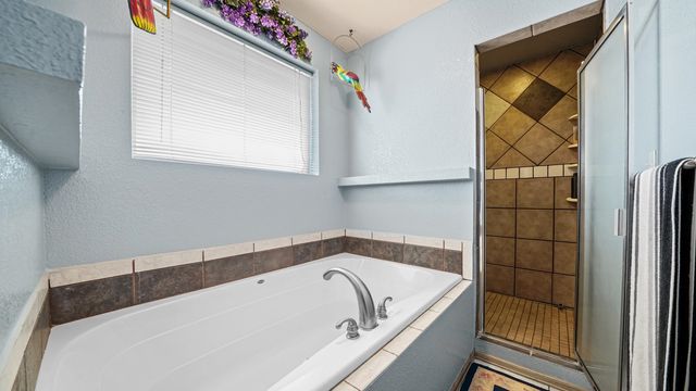 20786 Iris Road, Austin, CO 81410