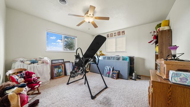 20786 Iris Road, Austin, CO 81410