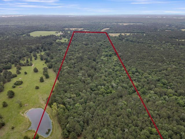 276 Walker Loop, Huntsville, TX 77340