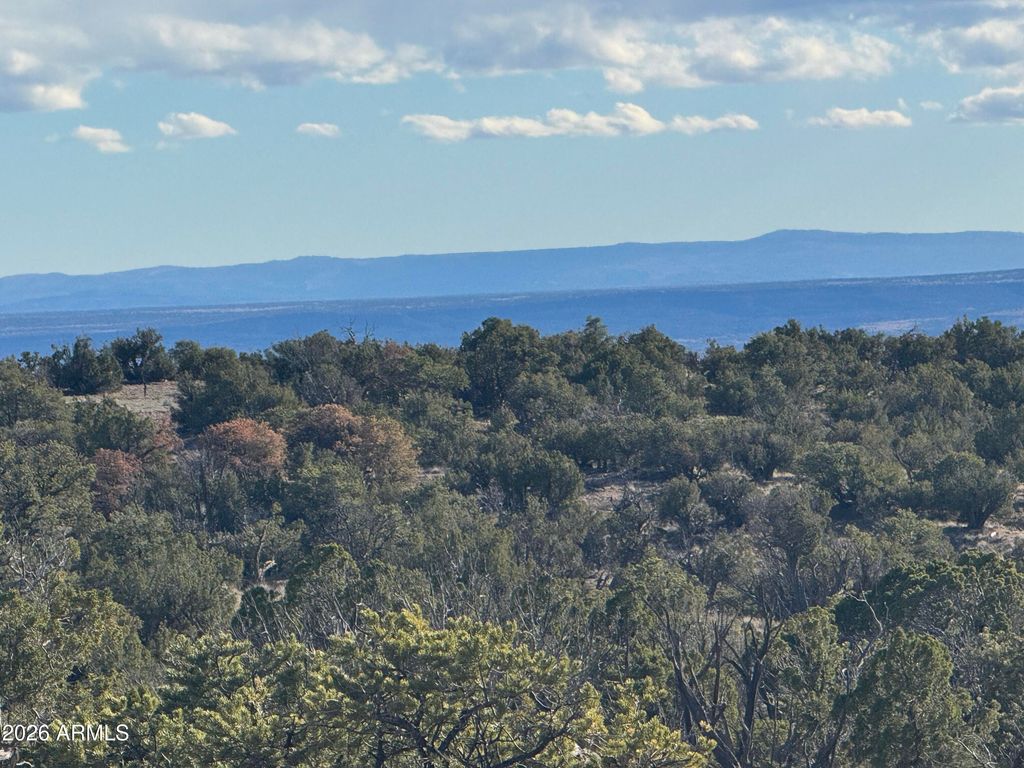Image 1 of property listing at Lot 93 Red Sky Ranch -- 93, St Johns, AZ 85936
