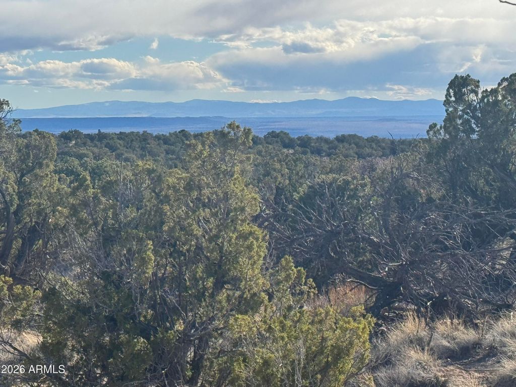 Image 11 of property listing at Lot 93 Red Sky Ranch -- 93, St Johns, AZ 85936