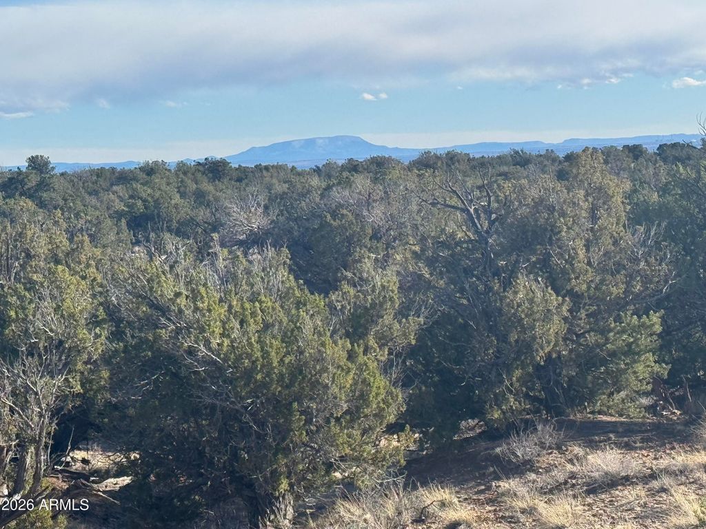 Image 12 of property listing at Lot 93 Red Sky Ranch -- 93, St Johns, AZ 85936
