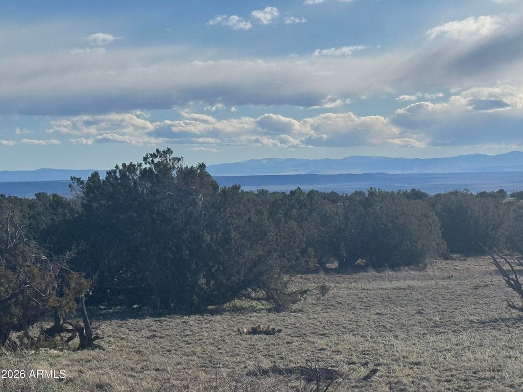 Image 2 of property listing at Lot 93 Red Sky Ranch -- 93, St Johns, AZ 85936