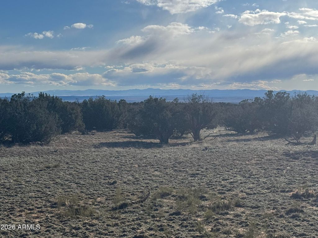 Image 3 of property listing at Lot 93 Red Sky Ranch -- 93, St Johns, AZ 85936