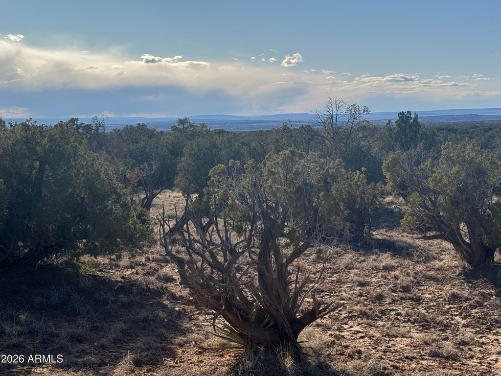 Image 4 of property listing at Lot 93 Red Sky Ranch -- 93, St Johns, AZ 85936