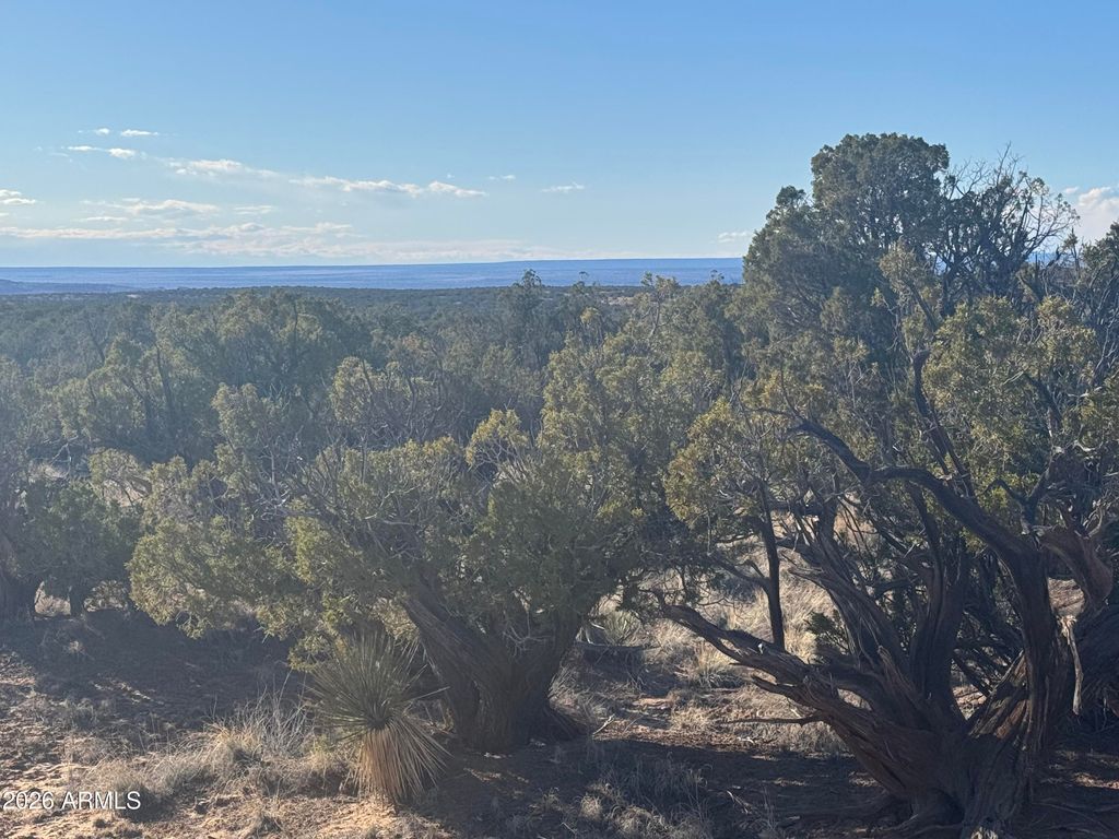 Image 5 of property listing at Lot 93 Red Sky Ranch -- 93, St Johns, AZ 85936
