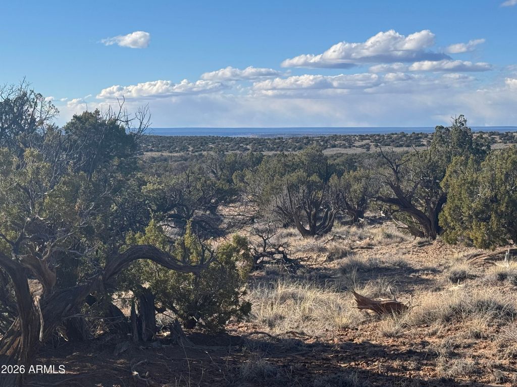 Image 6 of property listing at Lot 93 Red Sky Ranch -- 93, St Johns, AZ 85936
