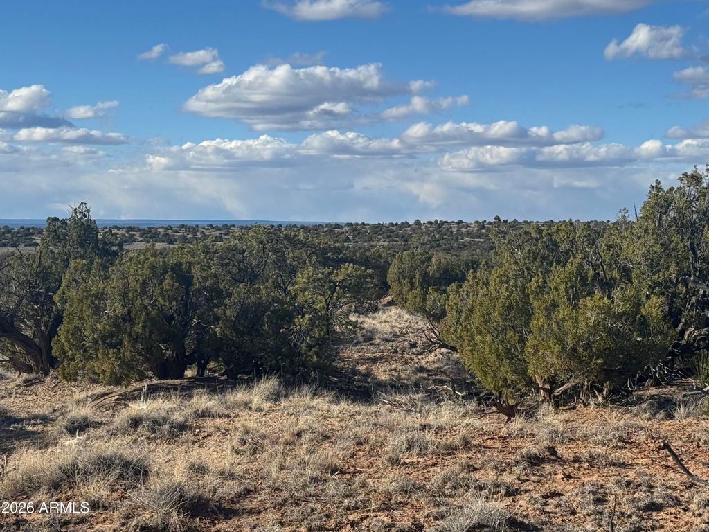 Image 7 of property listing at Lot 93 Red Sky Ranch -- 93, St Johns, AZ 85936