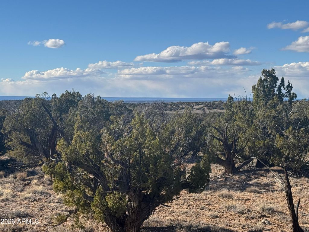 Image 8 of property listing at Lot 93 Red Sky Ranch -- 93, St Johns, AZ 85936