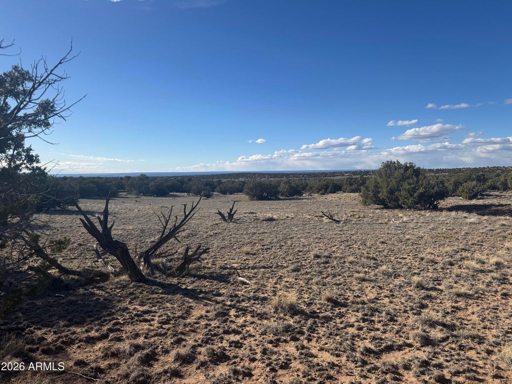Image 9 of property listing at Lot 93 Red Sky Ranch -- 93, St Johns, AZ 85936