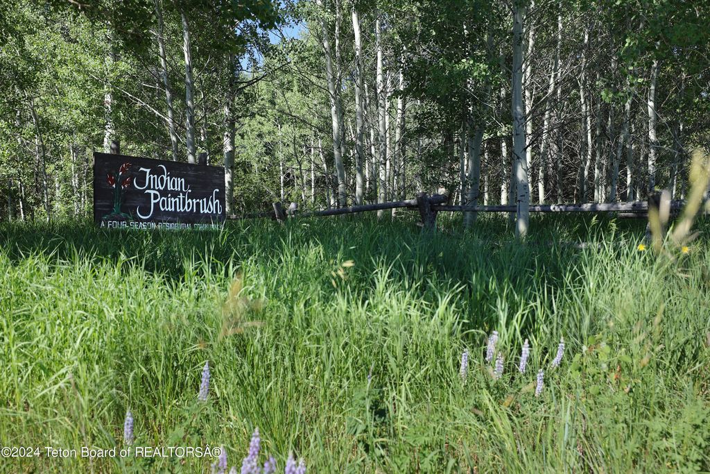 6620 LUPINE TRAIL, Wilson, WY 83014 photo 10