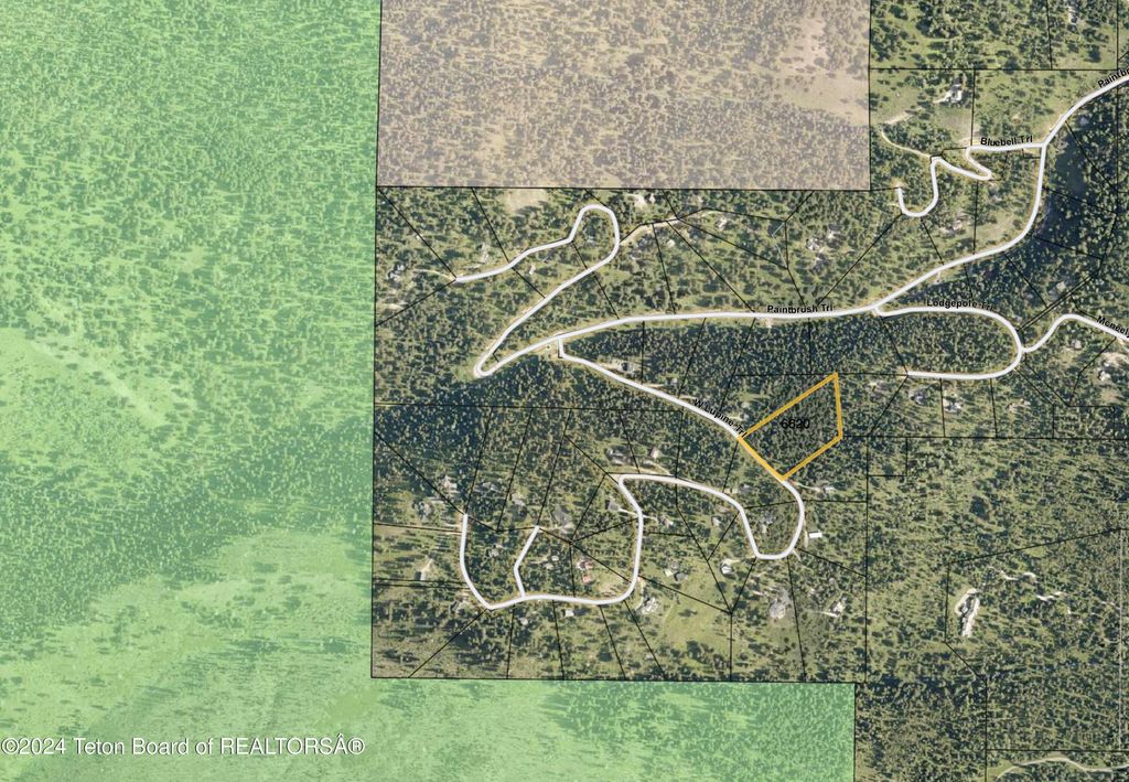 6620 LUPINE TRAIL, Wilson, WY 83014 photo 11