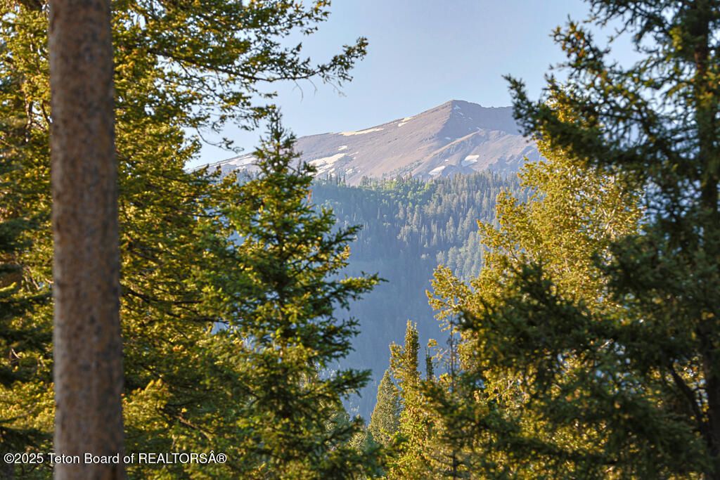 6620 LUPINE TRAIL, Wilson, WY 83014 photo 2