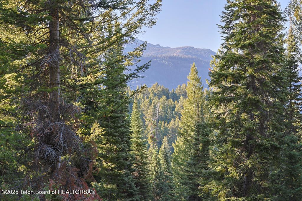 6620 LUPINE TRAIL, Wilson, WY 83014 photo 3