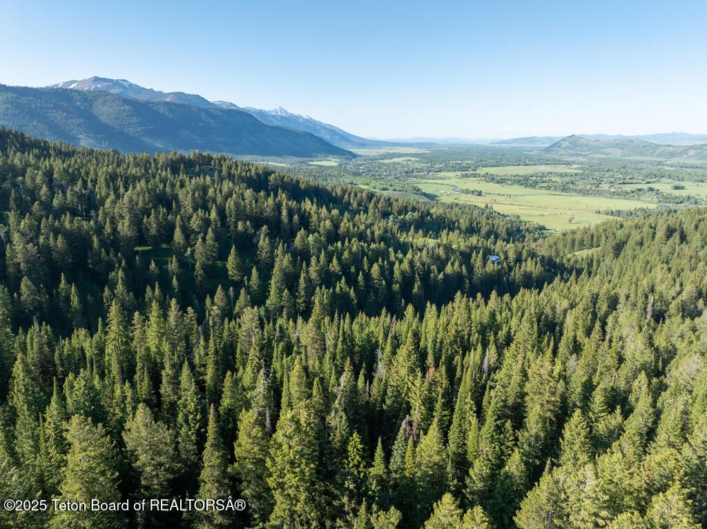 6620 LUPINE TRAIL, Wilson, WY 83014 photo 5