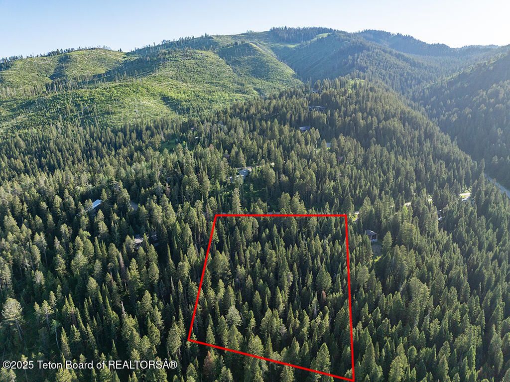 6620 LUPINE TRAIL, Wilson, WY 83014 photo 8