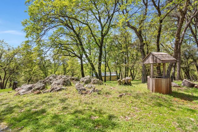 5271 Caprine Rd, Greenwood, CA 95635