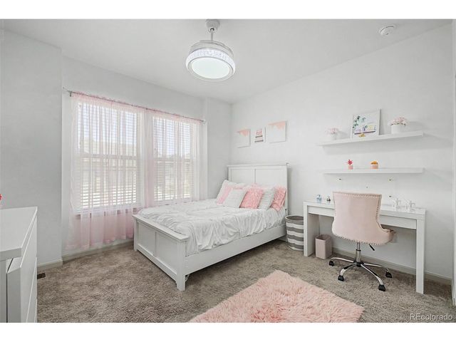 6788 Zebra Grass Ln, Parker, CO 80138