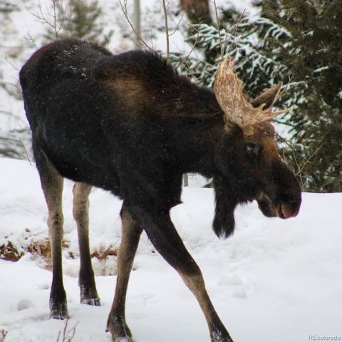 178 Saw Horse Lane, Black Hawk, CO 80422