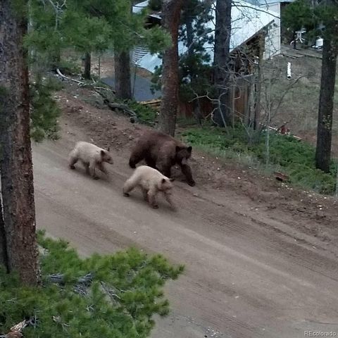 178 Saw Horse Lane, Black Hawk, CO 80422