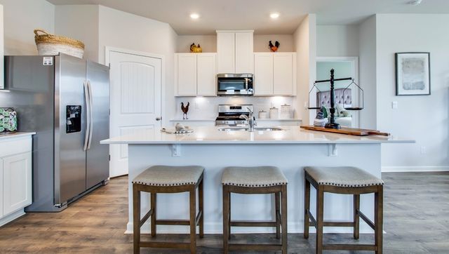 2207 Quinn Drive, White House, TN 37188