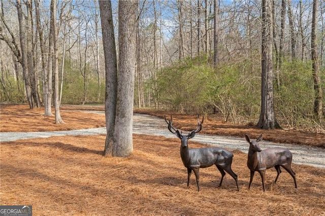 2995 Gum Creek Road, Oxford, GA 30054